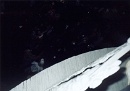 1999-04-13-058