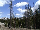2005-05-27 10-53-48