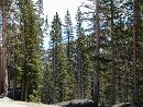 2005-05-27 10-56-17
