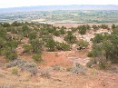 2006-07-04 16-46-48