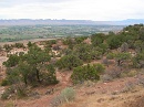2006-07-04 16-46-55