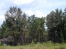 2001-08-25 11-40-10