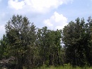 2001-08-25 11-43-54