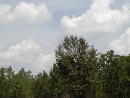 2001-08-25 11-44-28